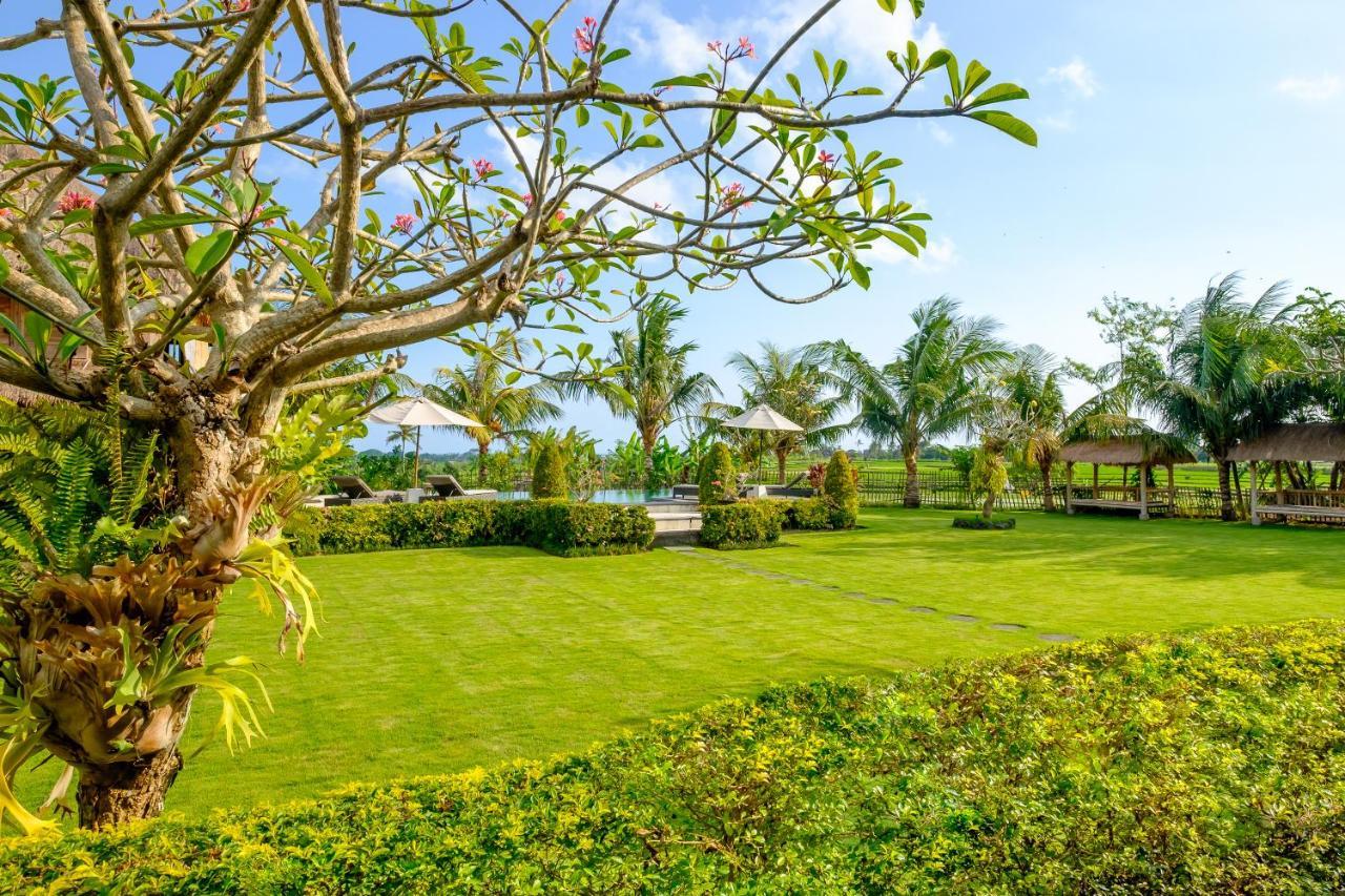 Canggu Wooden Green Paradise Екстер'єр фото