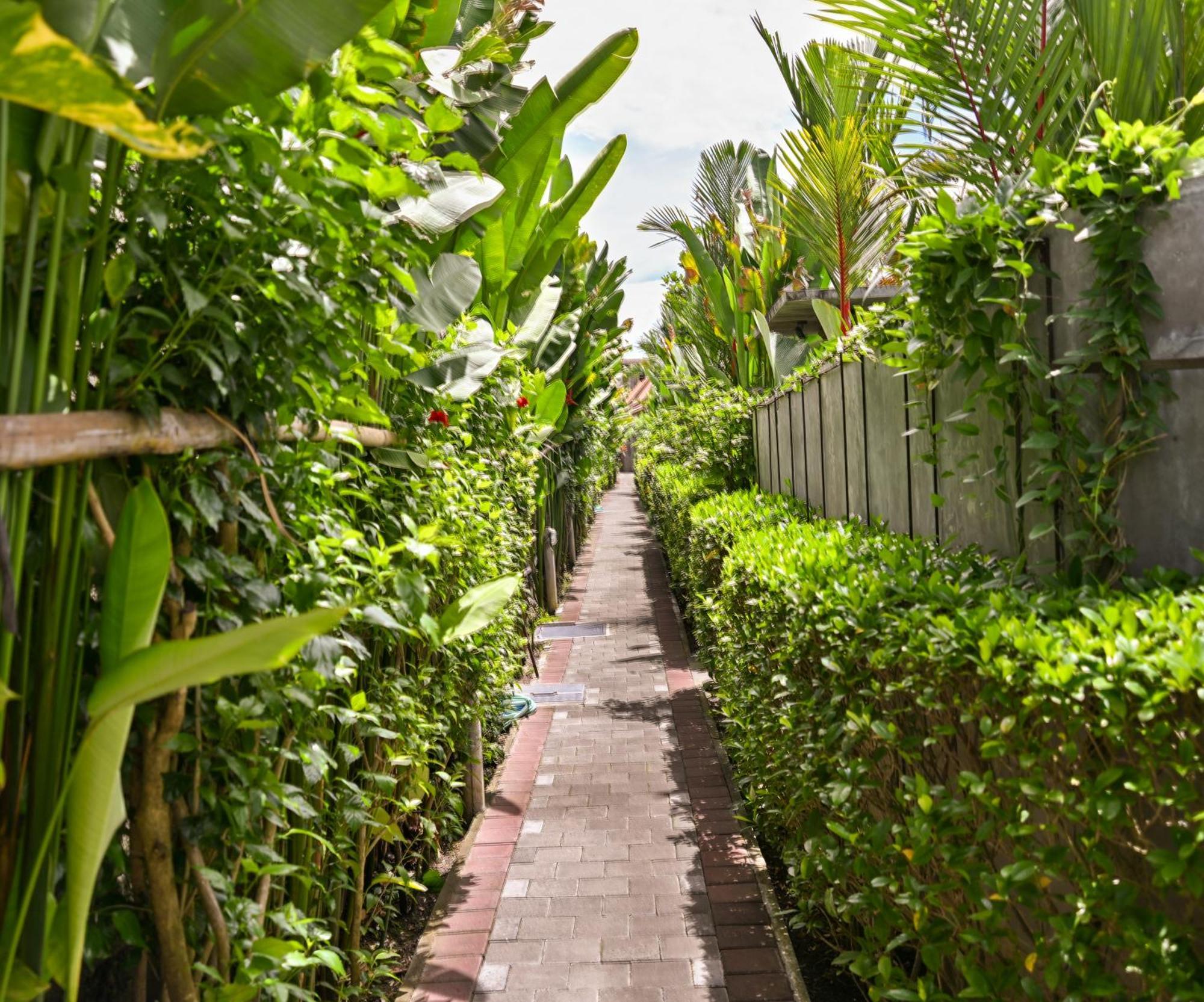 Canggu Wooden Green Paradise Екстер'єр фото