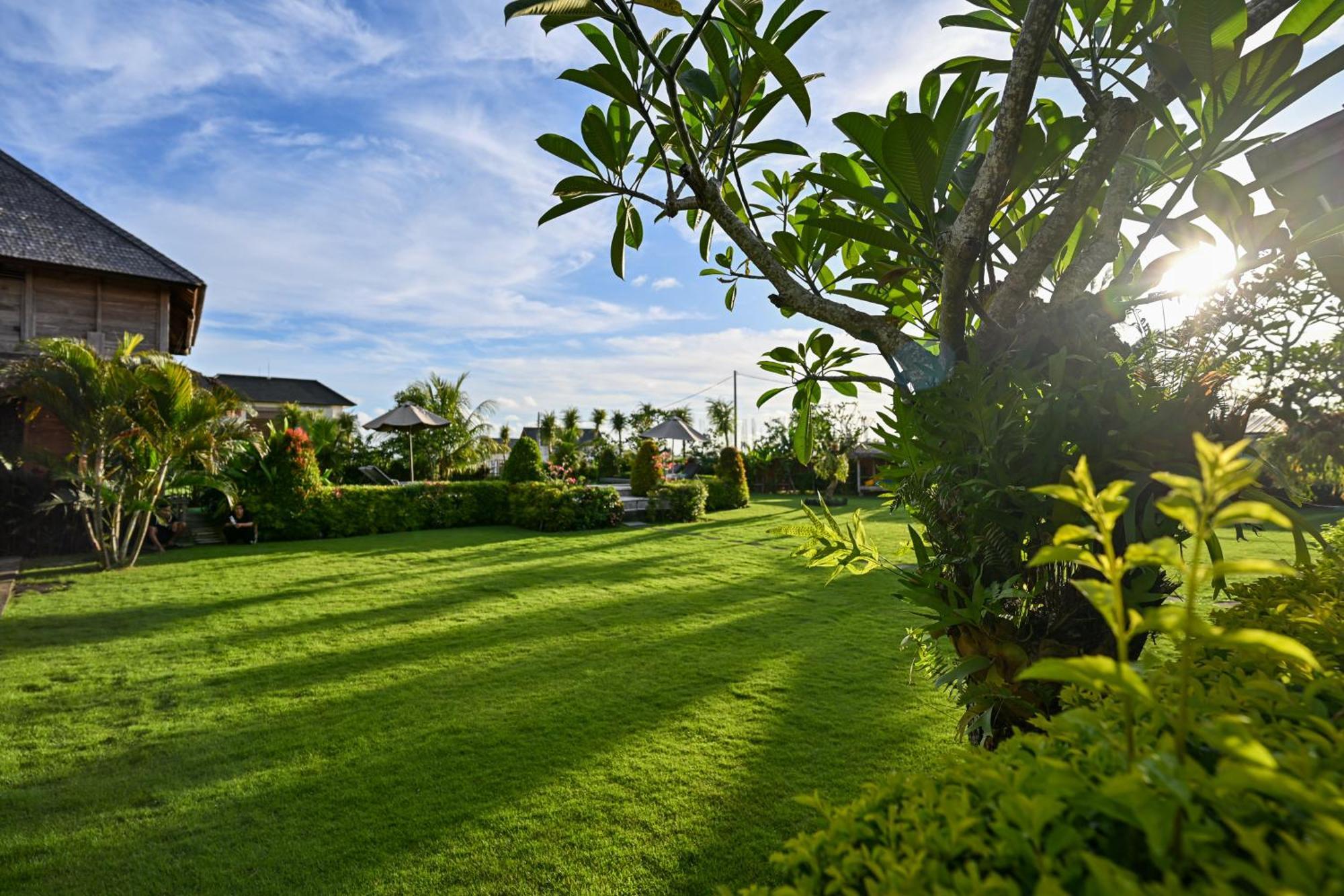 Canggu Wooden Green Paradise Екстер'єр фото